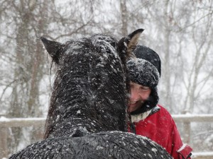 Hesteassisteret terapi i praksis